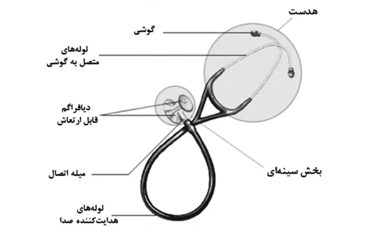 اجزای گوشی پزشکی